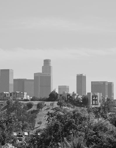 Nation Los Angeles