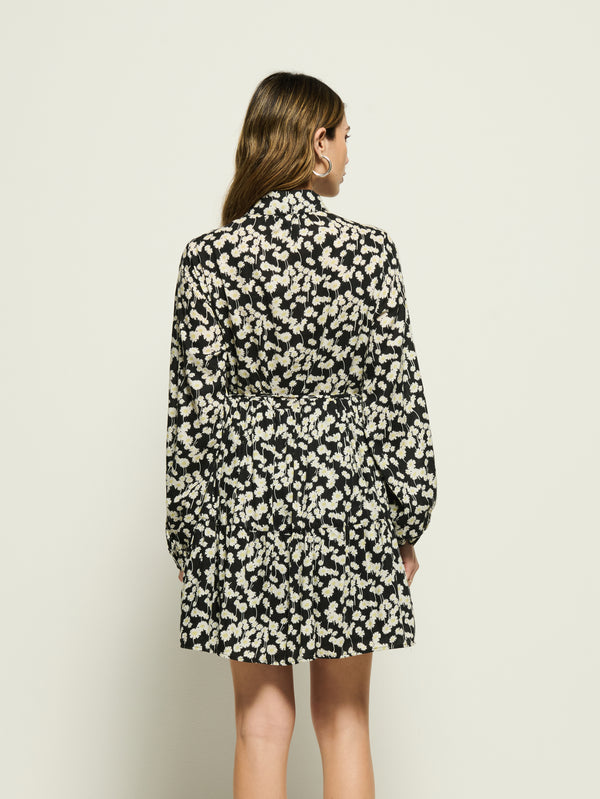 Sabreena Shirt Dress