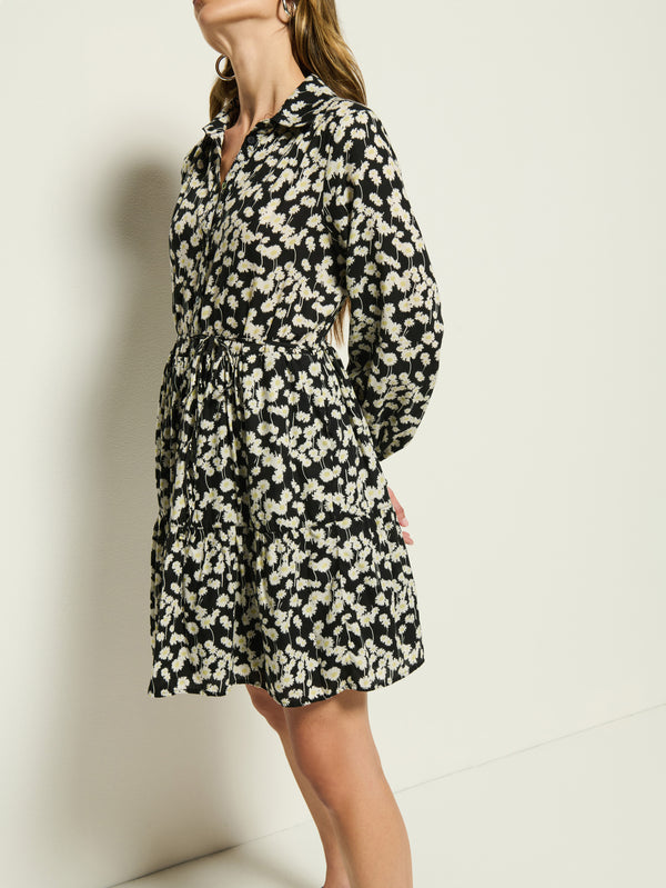 Nation Los Angeles Sabreena Shirtdress